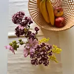 Wunderschoene In Perfekter Lage 아파트 *